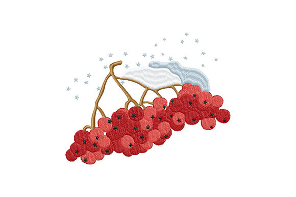Winter Rowan Berries for Seasonal Design